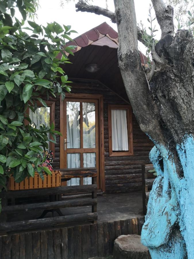 Zeytindagi Bungalow Mehmetalani エクステリア 写真