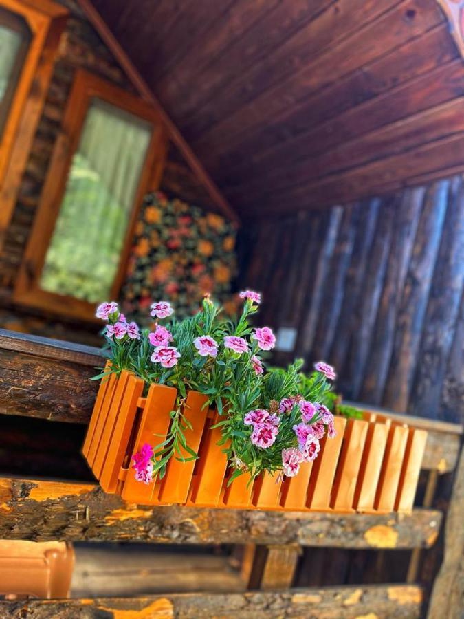 Zeytindagi Bungalow Mehmetalani エクステリア 写真