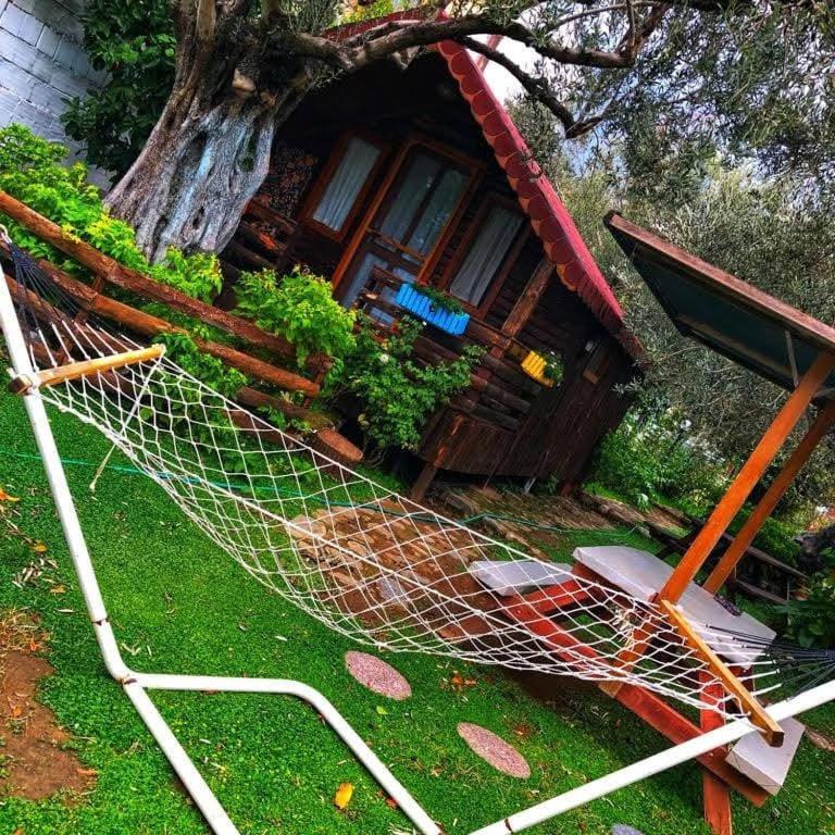 Zeytindagi Bungalow Mehmetalani エクステリア 写真