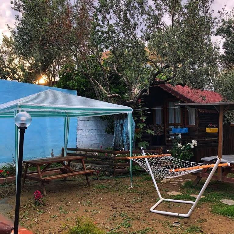 Zeytindagi Bungalow Mehmetalani エクステリア 写真