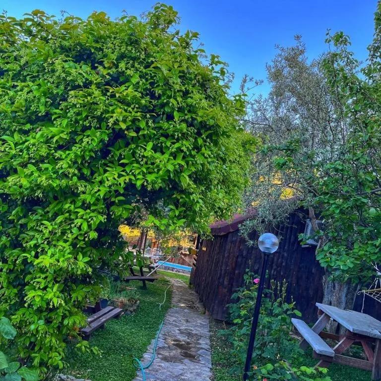 Zeytindagi Bungalow Mehmetalani エクステリア 写真