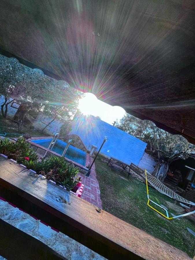 Zeytindagi Bungalow Mehmetalani エクステリア 写真