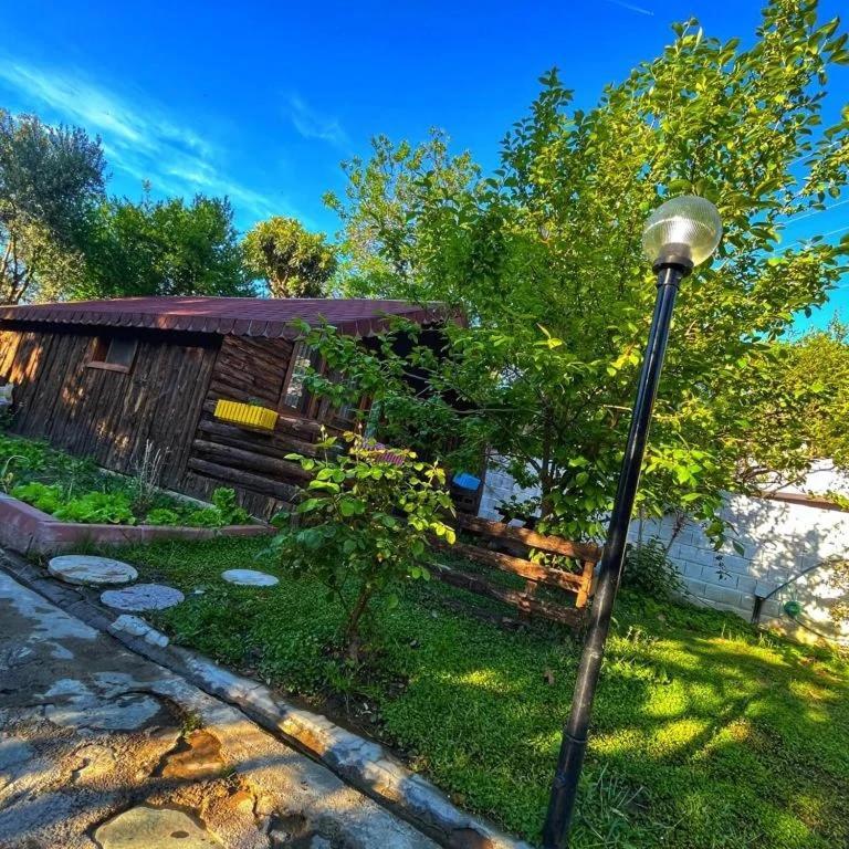 Zeytindagi Bungalow Mehmetalani エクステリア 写真