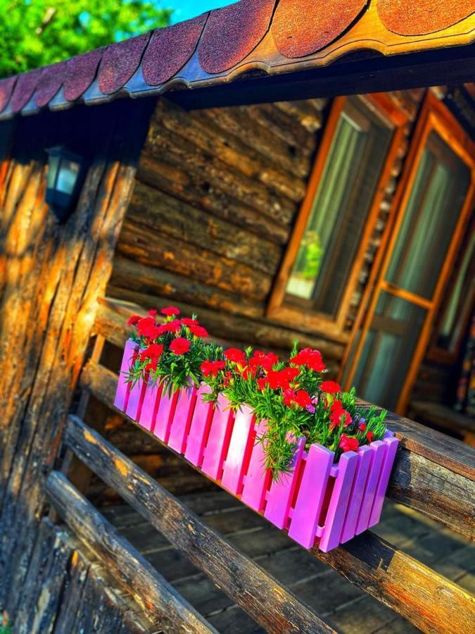 Zeytindagi Bungalow Mehmetalani エクステリア 写真